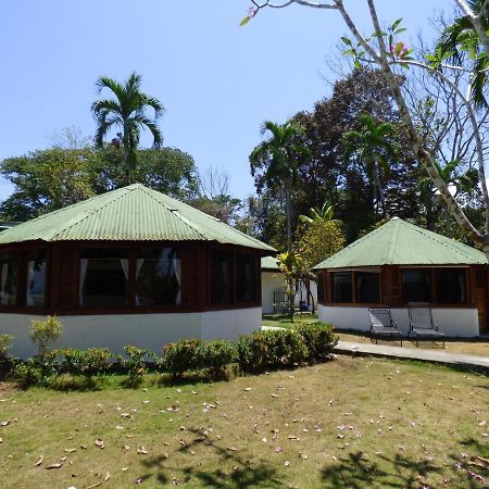 Puerto Jiménez Corcovado Beach Lodge المظهر الخارجي الصورة